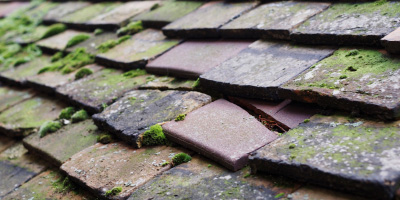 Clavering roof repair costs